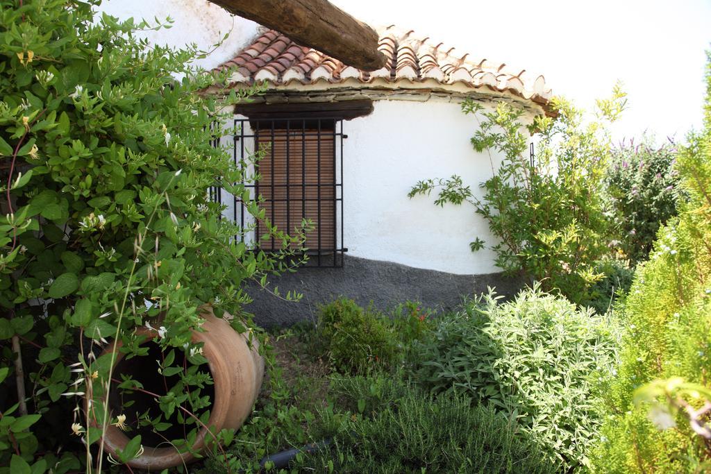 Apartmán Cuevas Del Zenete Alcudia de Guadix Exteriér fotografie