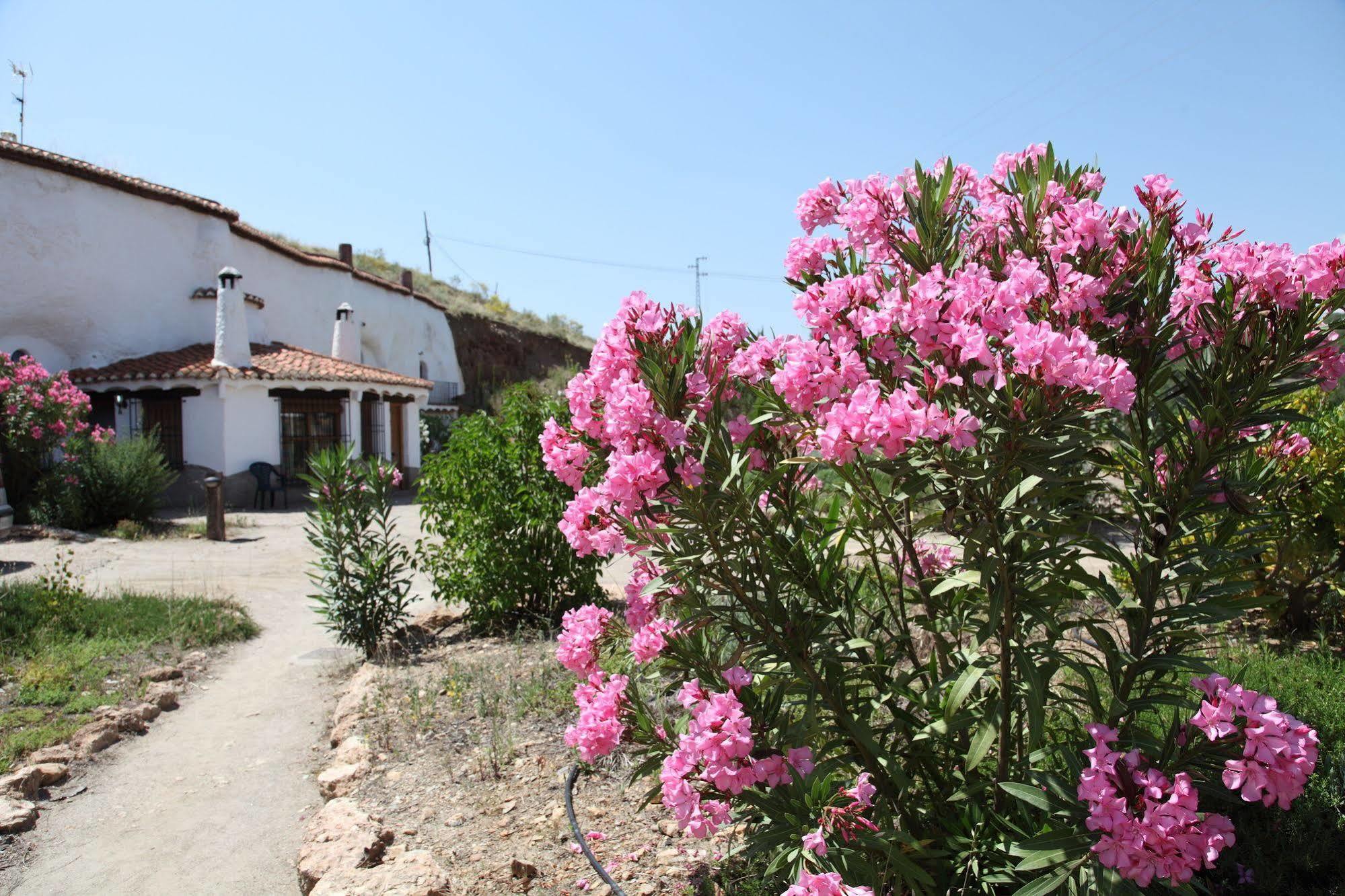 Apartmán Cuevas Del Zenete Alcudia de Guadix Exteriér fotografie